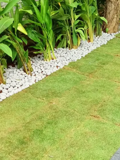 The details matter. I take care to create clean, beautiful edges, like this border of white pebbles separating the freshly laid grass from the garden bed. It's a small touch that makes a big difference in the final look.