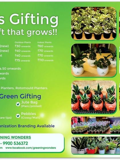 Greening Wonders - Corporate & Personal Plant Gifting Additional Work photo 33