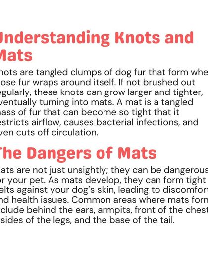 Woofly - Home Veterinary Services Coat & Skin Care photo 3