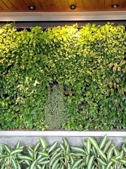 Our indoor vertical gardens add a touch of natural elegance to luxury properties like the Signature Island complex in Mumbai. This installation complements the high-end architecture, providing a lush, green focal point.