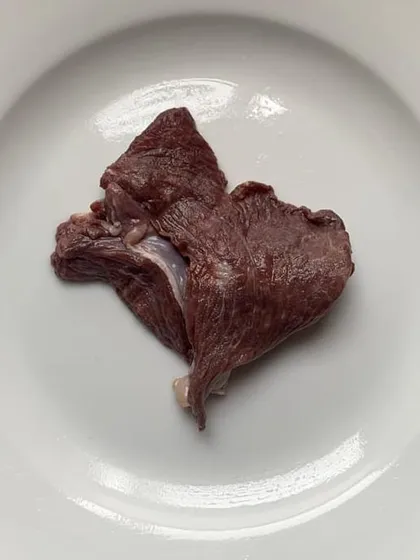 This is emu meat. It's a game-changer for dogs with severe allergies, pancreatitis, or other sensitivities. When standard proteins don't work, I find solutions. This is a key part of my novel protein diet plans.