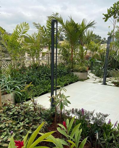 Terrace & Balcony Gardens