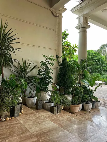 This is the same porch area, showcasing a mix of yucca plants, palms, and other foliage that work well together to create a full and established garden look.