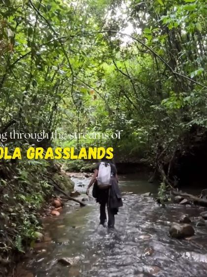 Walking through the cool, clear streams of the Shola grasslands is a unique and refreshing part of the Kudremukha trek.