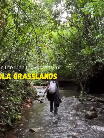 A trekker walking through a stream in the Shola grasslands of Kudremukha.