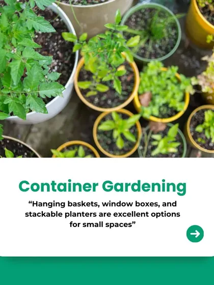 Container gardening is incredibly versatile for small spaces. As shown here, we can use hanging baskets, window boxes, and a variety of planters to bring life to patios, windowsills, and balconies.