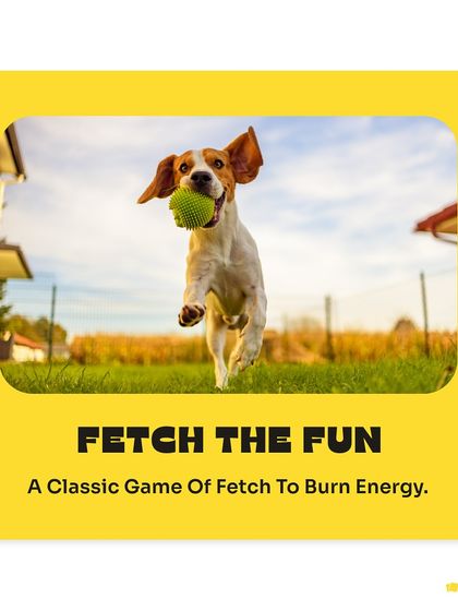 Pet Warehouse - Pet Supplies Toys, Accessories & Essentials photo 3