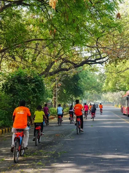Our group rides along a beautiful, tree-lined road, sharing the space with a city bus. It's a great example of how different modes of transport can coexist.
