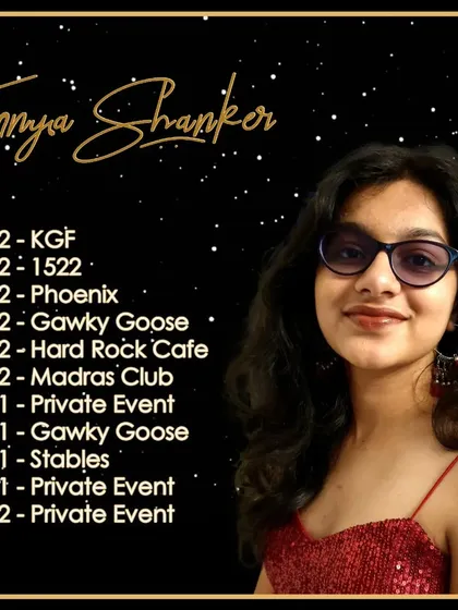 A graphic listing my gig schedule for the festive season. This shows my busy performance calendar and the variety of public and private events I play.