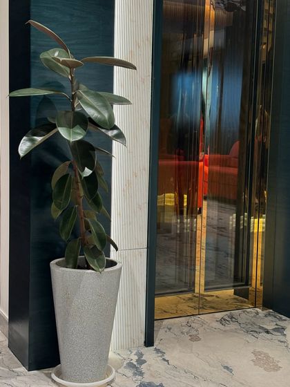 Residential Sanctuaries photo 21