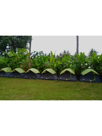 A line of tents ready for a group of campers, set against a backdrop of green banana plants.