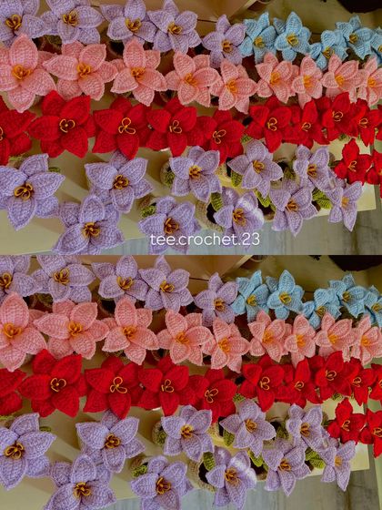 Cheerful Potted Plants photo 9