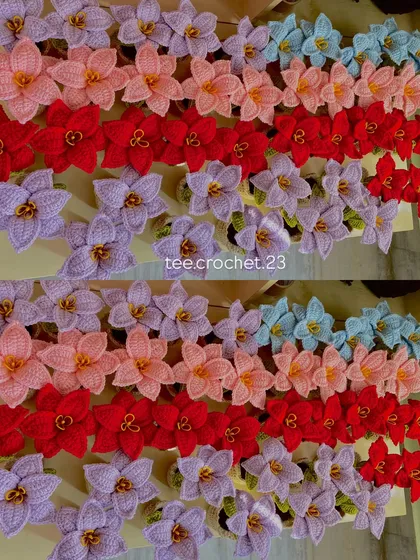 Rows of colorful potted crochet lilies, perfect for adding a pop of color to any retail display.