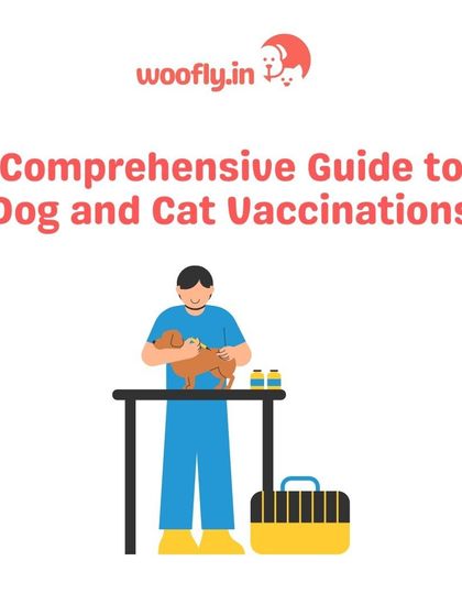 Woofly - Home Veterinary Services At-Home Vaccinations & Deworming photo 4