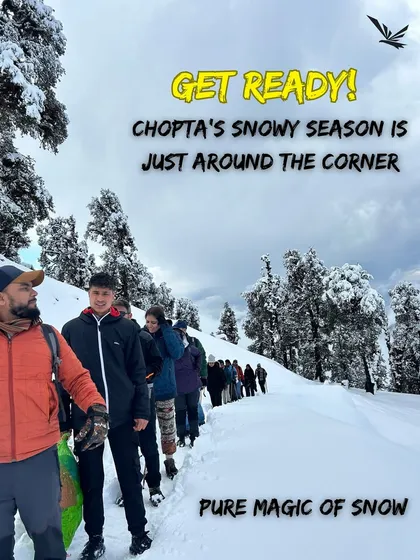 Get ready! Chopta's snowy season is just around the corner. Imagine trekking through this pure magic of snow with us.