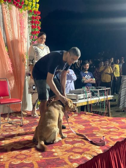 A handler and his Labrador on stage, waiting for the judges' feedback. I was looking for a good bond between the dog and owner, as well as basic obedience.