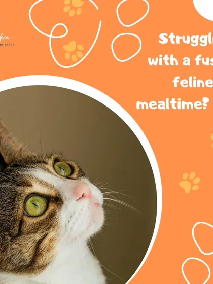 For a fussy feline at mealtime, try crumbling our irresistible air-dried treats over their food. It adds a burst of flavor and nutrition that can entice even the pickiest eater to finish their bowl.