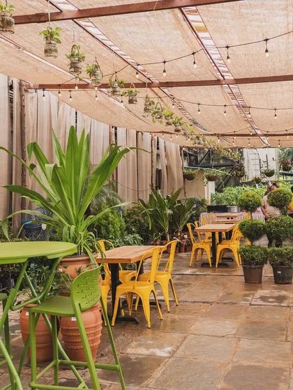 Our cafe is a hidden gem nestled within the nursery. It's a cozy space to escape the hustle, enjoy a cup of coffee, and soak in the green vibes all around you.