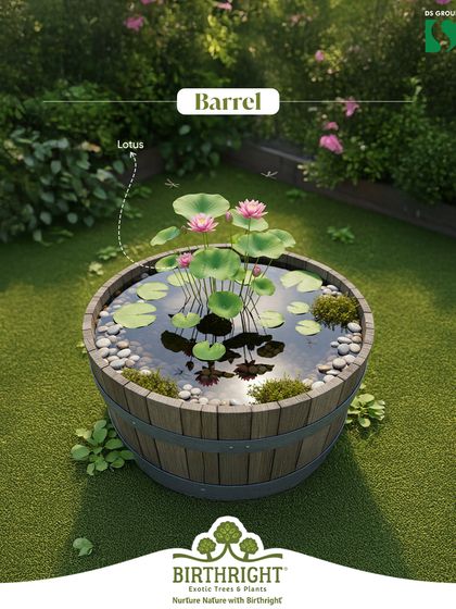 An old barrel can be transformed into a beautiful mini pond with lotus flowers. It's an easy and impactful way to create a water feature that supports local wildlife.