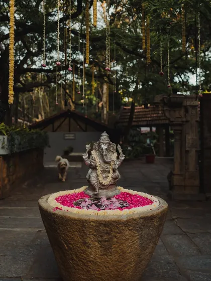 A stone Ganesha idol in a water-filled urn with floating petals, a serene and beautiful decor piece.