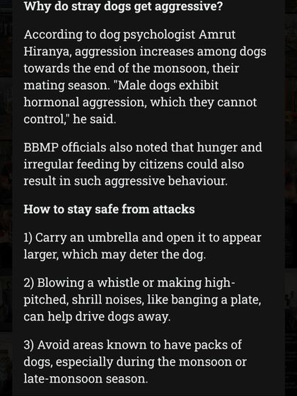 Dog Guru - Dog Behavior & Owner Consultation Credentials and Recognition photo 14