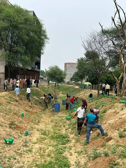 A wide view of the planting drive with Estee Advisors, showing the team spread out along the creek, transforming the landscape one sapling at a time.