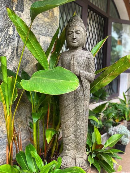 A moment of peace in a client's garden. This standing stone Buddha, with its serene expression and traditional robes, is perfectly placed amongst tropical foliage, creating a quiet corner for reflection.