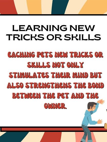 Furever Safe - Pet Training Pet Parent Knowledge Hub photo 9