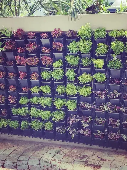 A close-up of a vertical garden installation. I arrange different types of plants in a modular system to create a living wall that adds texture and color to an otherwise plain surface.