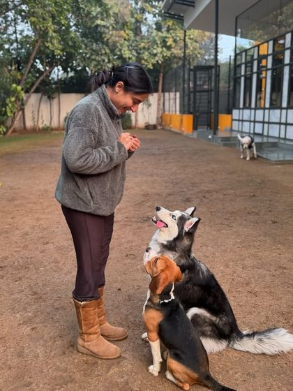 A training session with Obi, reinforcing calm behavior around other dogs in our spacious outdoor area.
