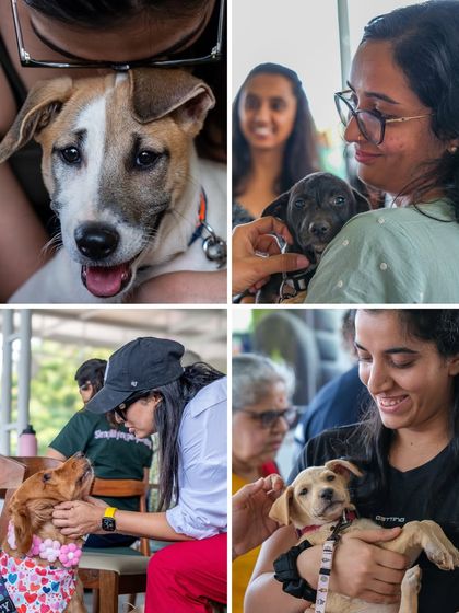 The joy is palpable in this collage from the adoption event. Every pet and person here is sharing a moment of pure happiness.