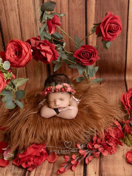 A nest of red roses. The contrast between the soft, furry nest and the vibrant red petals creates a visually stunning and dramatic portrait.