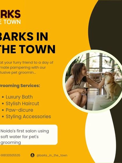 We are proud to be Noida's first salon using soft water for pet grooming. This ensures a gentler bath that is better for your pet's skin and coat.