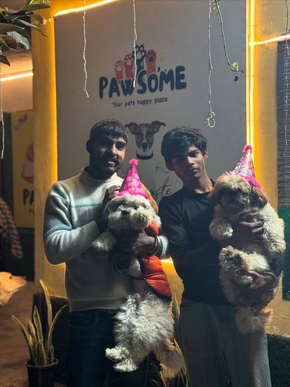 A double birthday celebration! These two are enjoying their special day with party hats and lots of attention.