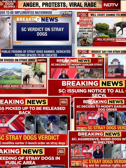 This collage of news headlines shows the chaos and confusion caused by the Supreme Court's verdict. We got a version of justice, but the fight is far from over. The system is broken.