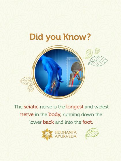 Siddhanta Ayurveda - Pain & Joint Care Understanding Joint & Spine Conditions photo 10
