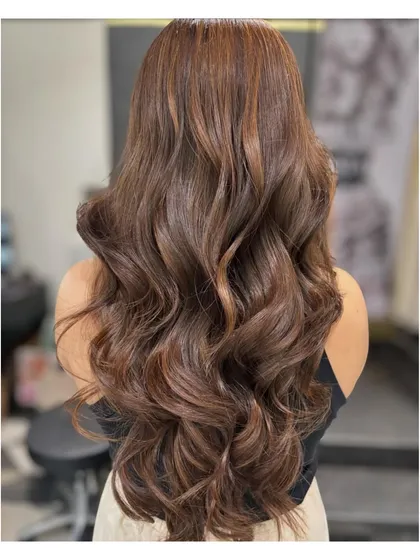 A stunning back view of long, wavy hair with a rich brown balayage. The color is seamless and the texture is luxurious.