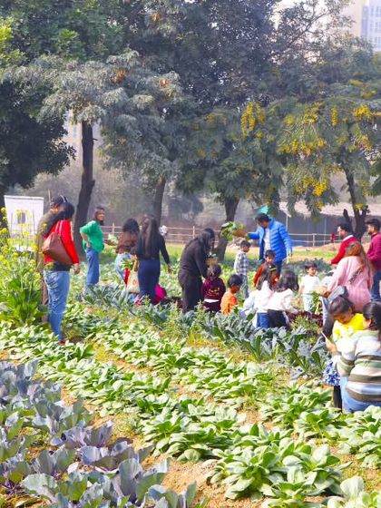 Farmus - Farm Day Out Experience Special Workshops & Seasonal Fun photo 6