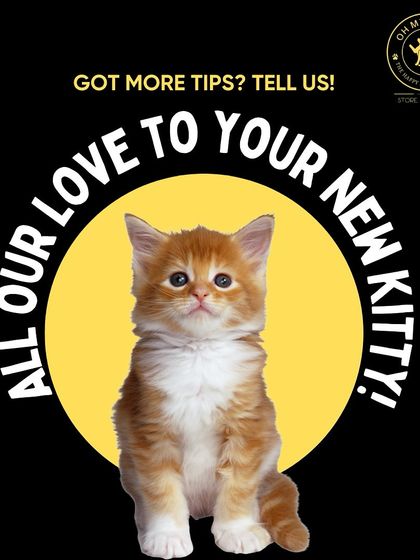 Oh My Dawg - Pet Supplies For New Pet Parents photo 11