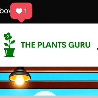 The Plants Guru