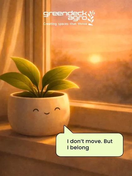 "I don't move. But I belong." A well-placed plant feels like it has always been there, becoming an integral part of what makes a house a home.