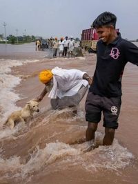 Animal Rights Advocacy