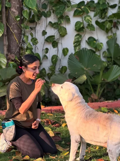 Senior dogs hold a special place in our hearts. Here I am with Stark, an 11-year-old Lab who needed extra love and attention. We offer specialized senior dog boarding, complete with medication management and gentle care, ensuring their golden years are comfortable and happy.