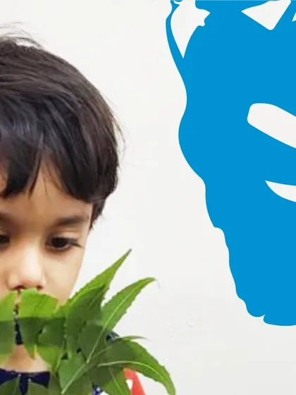 Crafting with nature! We took a walk and gathered leaves to create these amazing leaf masks. It's a wonderful way to teach kids about using natural and found objects in their art.