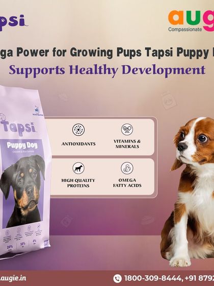 Augie Pets - Pet Supplies Fuel for Happy Hounds: Wholesome Dog Nutrition photo 25