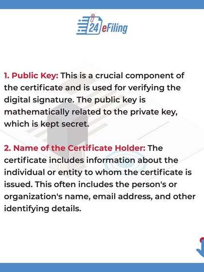 Every DSC contains a public key for verification and the name of the certificate holder. It also includes identifying details like the person's or organization's name and email address.