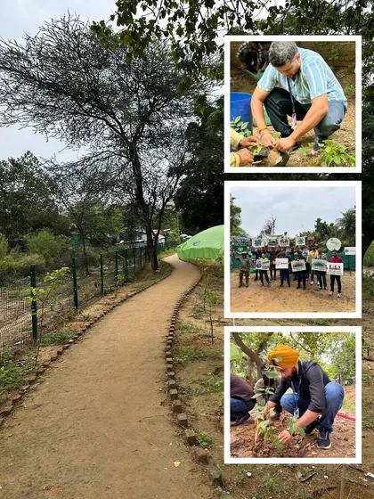 This collage captures the energy of a massive eco-restoration drive at Aravali Creek. It shows the journey from a winding path to the hands-on work of our partners and team planting thousands of native saplings to bring the creek back to life.