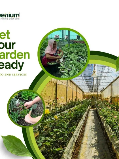 I provide end-to-end services to get your garden ready. Many of my plants come directly from our own tissue culture lab, ensuring they are healthy, high-quality, and ready to thrive in your space.