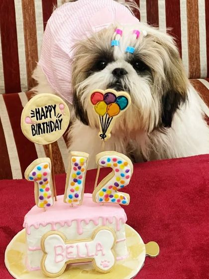 Bella posing like a pro with her 6-month birthday cake. Every milestone is worth celebrating with a healthy, tasty treat.