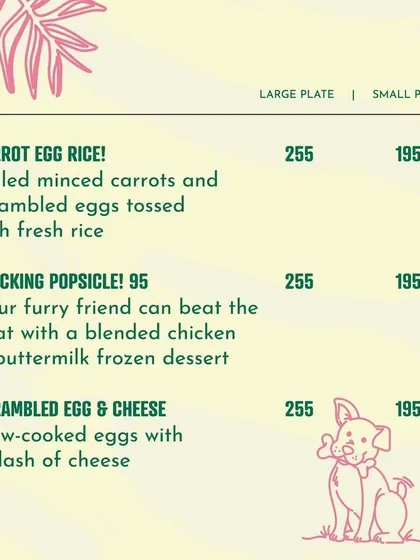 More options from our pet menu, including 'Carrot Egg Rice' and the famous 'Clucking Popsicle'. I use only pet-safe ingredients to keep your friends healthy and happy.